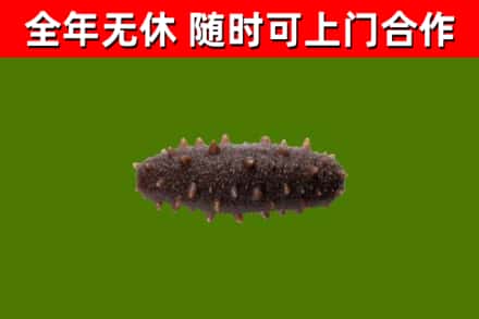 长春市烟酒回收干海参.jpg